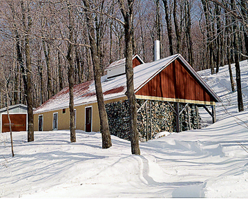 cabane à sucre au Québec